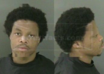 Kerry Terelle Wynn