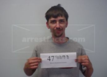 Jeremy P Warren