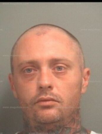 William Donald Horton