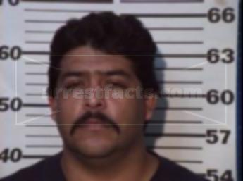 Jose Simon Mireles Regalado
