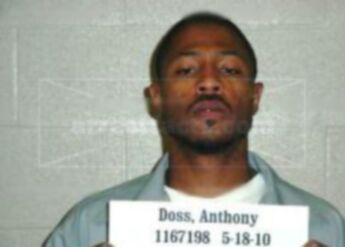Anthony M Doss