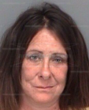 Hiedi Anne Stottler