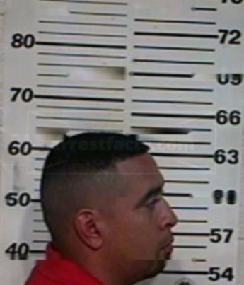Jose Armando Borrego Reyes