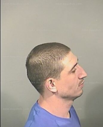 Justin Ellis Obrien