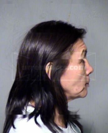 Cynthia Elaine Peshlakai