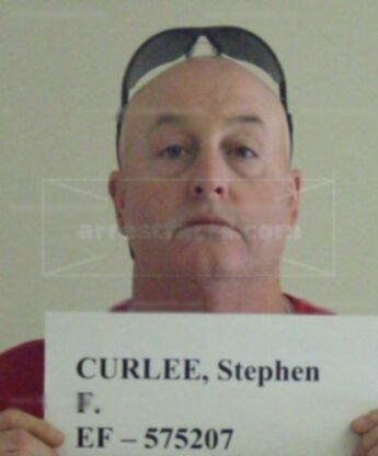 Stephen F Curlee