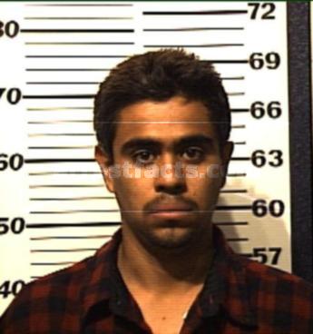 Fernando Flores Dominguez