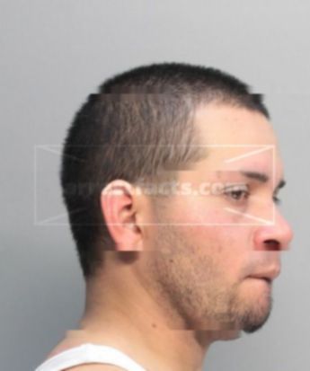 Dennis Ariel Mejia Lopez