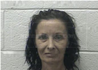 Snyder Susan Renee