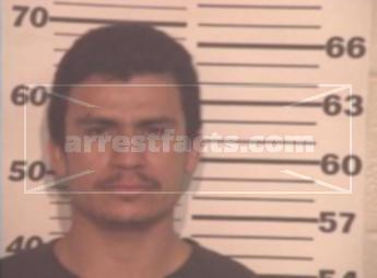 Fernando Lopez Alegria
