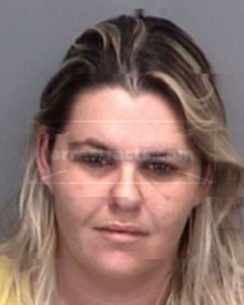 Virginia Michelle Anson