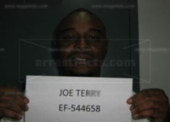 Joe Lewis Terry