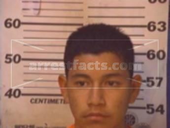 Daniel Avila Penaloza