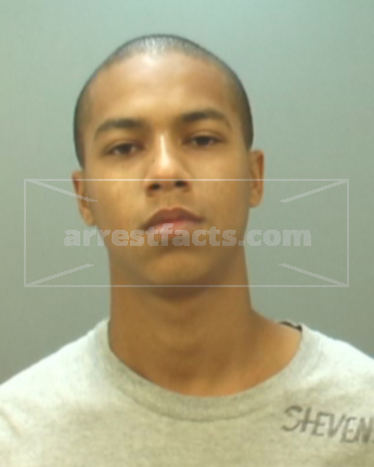 Dante Stevens