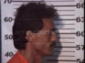 Mario Navarro Ramirez