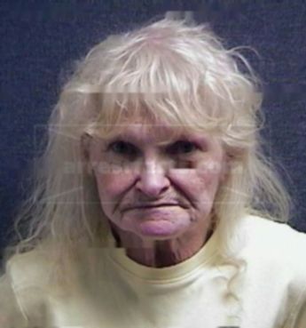 Nancy Carol Danner