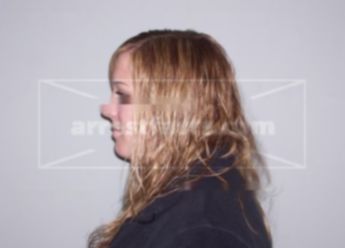 Brittany L Steinke