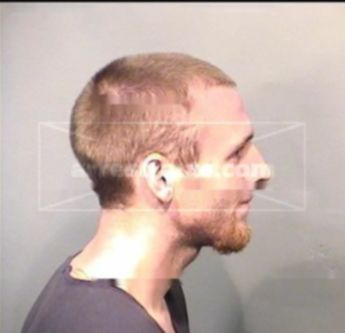 Tanner Mitchell Holman