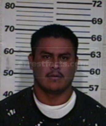 Misael Guevara Garza