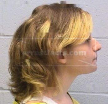 Amy L. Vollintine