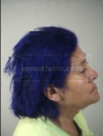 Carmen Anez Nino