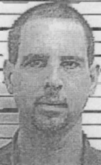 Daniel M Stedman