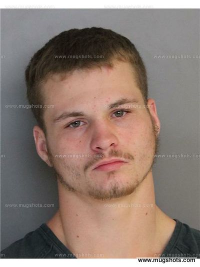 William Fields Jr.