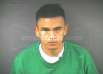 Pedro Vega Flores