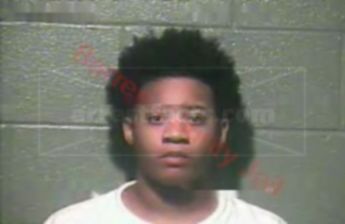 Brittany Nicole Johnson