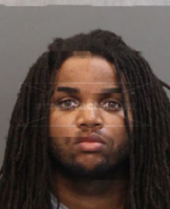 Damien Martez Pointer