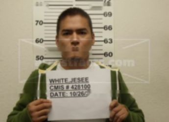 Jesse White