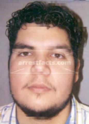 Daniel M Cardoso