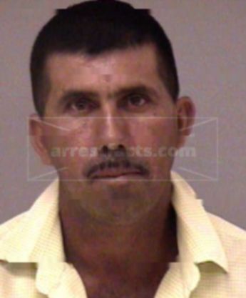 Trinidad Bojorquez