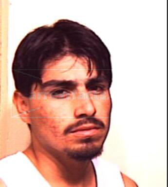 Fernando Flores Robles