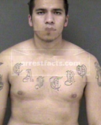 Jose C Castro