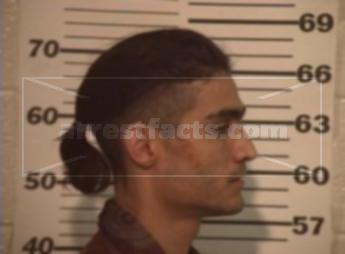 David Robert Pulido Robles