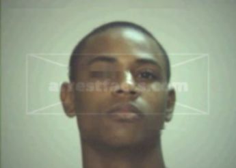 David Ray Ellis