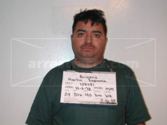 Martin Espinosa Briceno