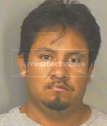 Ramon Alvarado