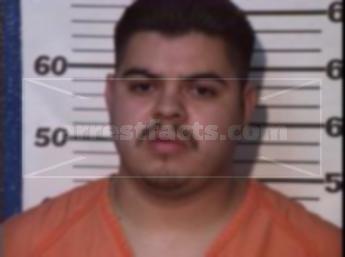 Michael David Billescas Vargas