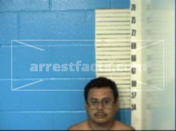 Mario P Trujillo