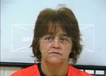Robin Renea Nelson