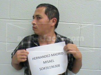 Misael Hernandez-Madrid