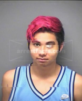 Dominick Lee Chanran Mom