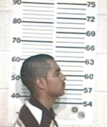 Nicolas Mendoza Casarez