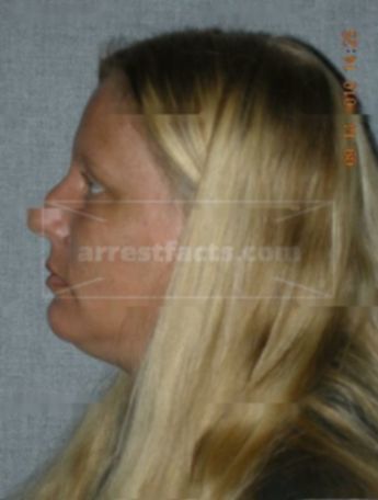 Tina M Arnett