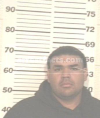 Ronnie Villa