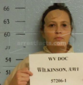 Amy E Wilkinson