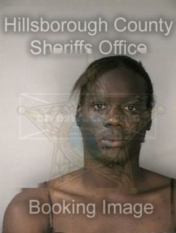 Timothy J Monroe