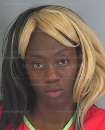 Sherina Nicole Woodruff